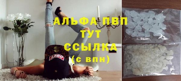 СК Навашино