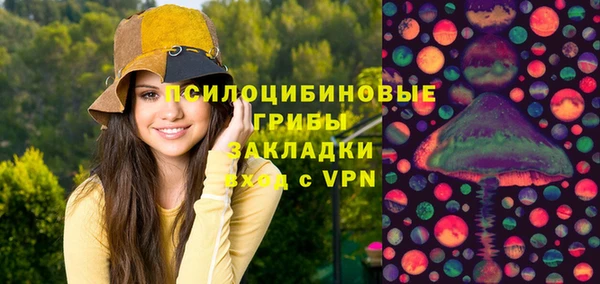 mix Надым