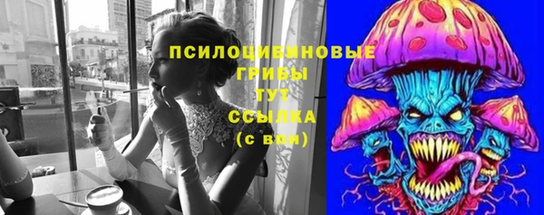 СК Навашино