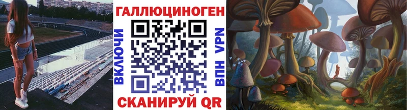 Галлюциногенные грибы MAGIC MUSHROOMS  продажа наркотиков  Энгельс 