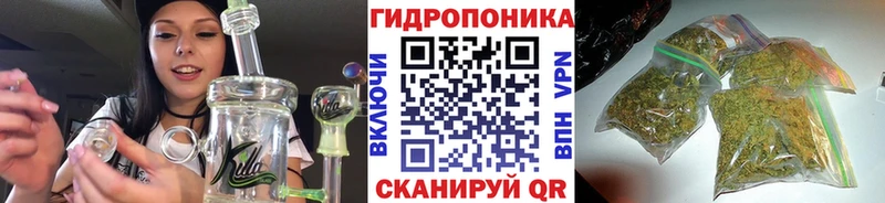 цены наркотик  Энгельс  Бошки марихуана Bruce Banner 
